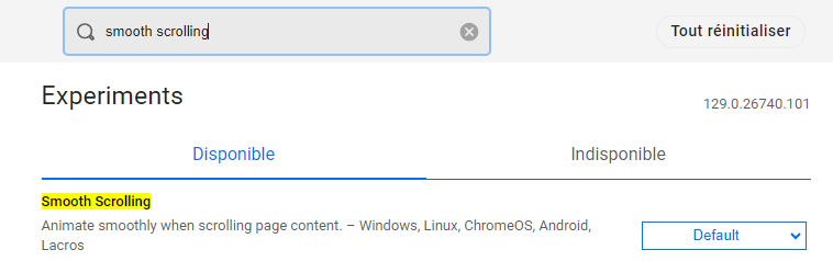 Google Chrome Flag search